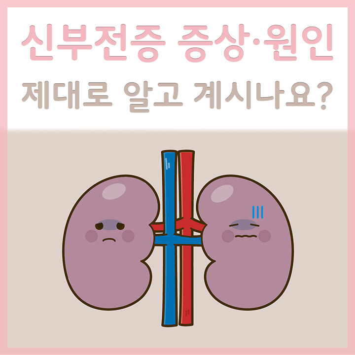 기능이-저하된-신장의-모습