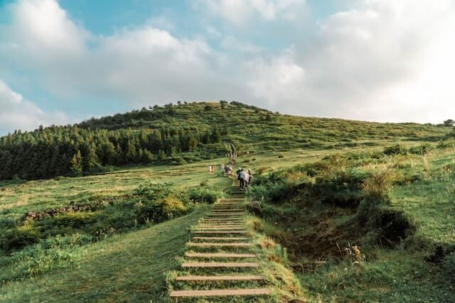 제주의 산길 풍경 사진