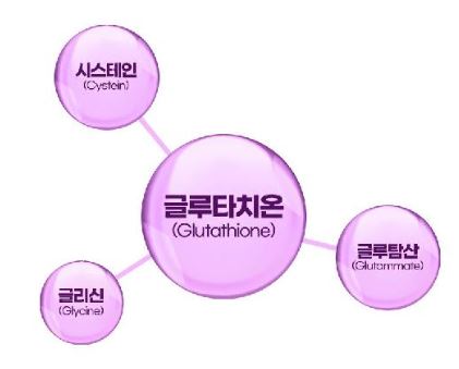리포좀-글루타치온