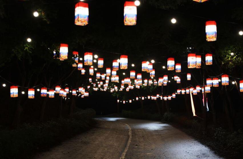 2025 독립기념관 단풍길 포토존 명소🌌 &amp;#124; 인생샷&middot;불빛축제 스팟 총정리
