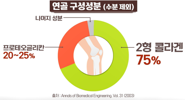 프로테오글리칸
