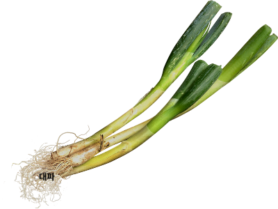 대파사진