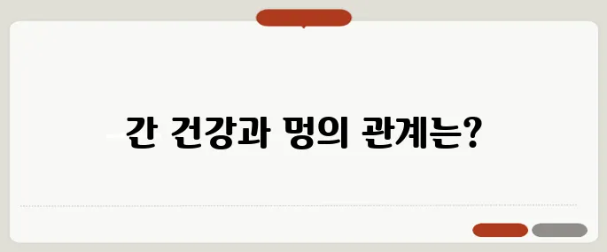 멍이 잘드는 이유 간기능과 연관 있는 경우도