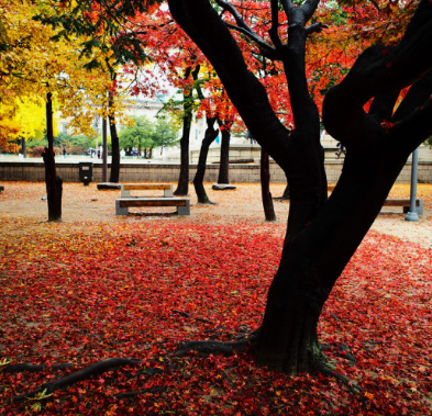 서울 고궁 이번 가을 꼭 가봐야할 BEST 4