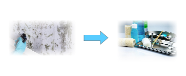 곰팡이얼룩과 과산화수소