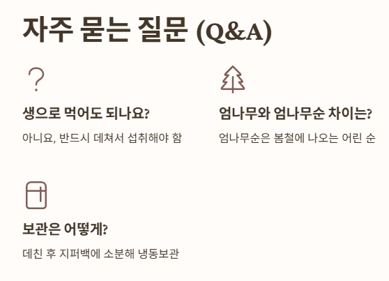 자주 묻는 질문 (Q&A)
