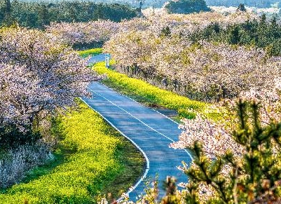 녹산로 드라이브