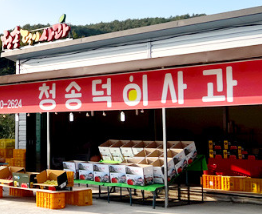 청송덕이사과