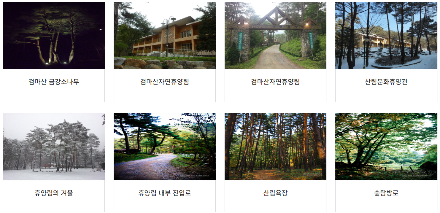 검마산 자연휴양림 예약 방법 총정리