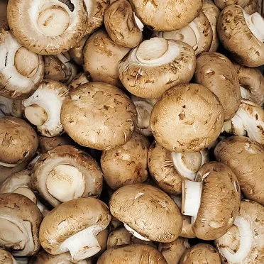 양송이버섯 제철 손질법과 볶음 요리 보관까지 전부 알려드립니다_16