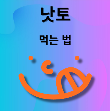 낫토 먹는법