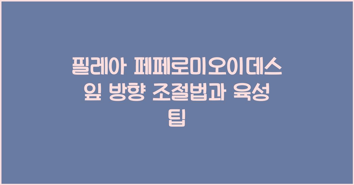 필레아 페페로미오이데스 잎 방향 조절법