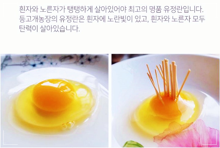 프리미엄 유기농 유정란 달걀 탄력 젓가락으로 집어 시범