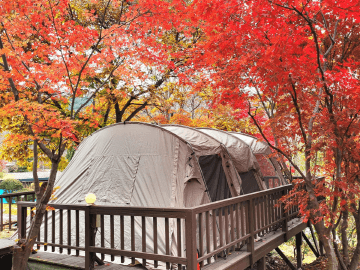 서울 근교 단풍 캠핑 명소 총정리 : 숲속 감성 100% 캠핑장 BEST 5_동두천 벨라캠핑장