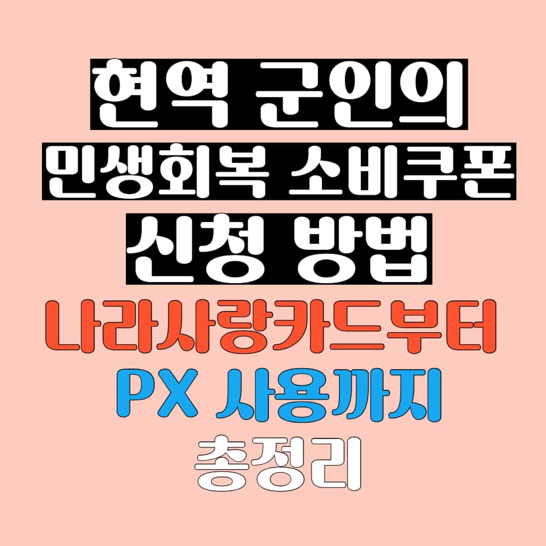 현역 군인의 민생회복 소비쿠폰 신청 방법 안내 이미지