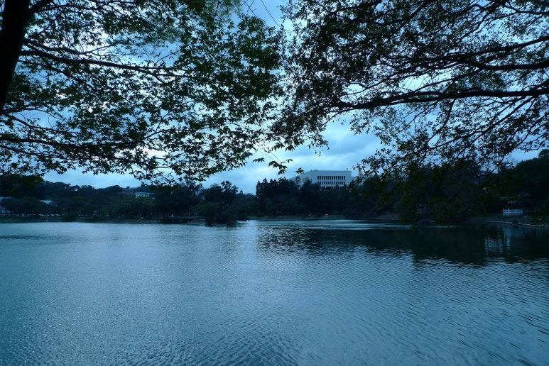 청화대학교 연못