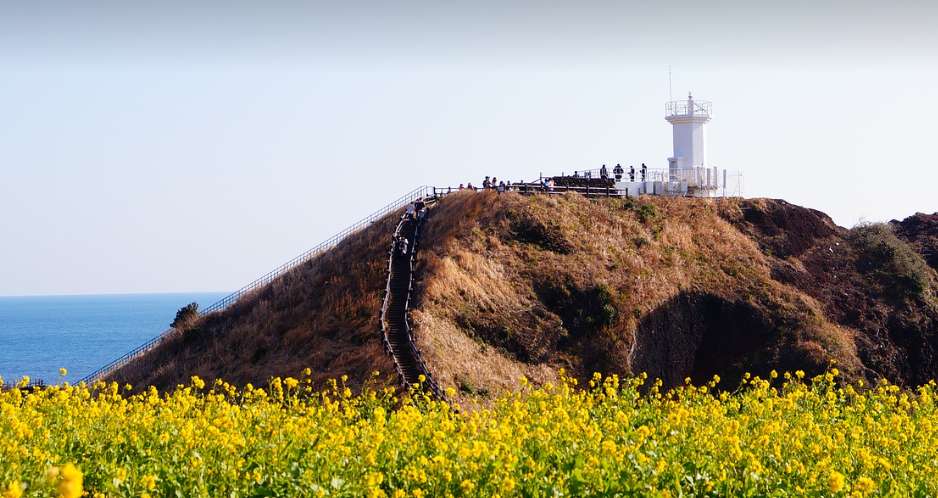 제주도 3박 4일 여행코스 (명소, 맛집, 루트)