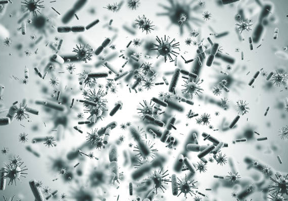 신발장 냄새와 생활환경균은 왜 다를까