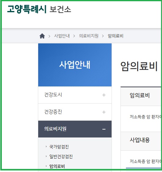 고양특례시 보건소 의료비지원사업