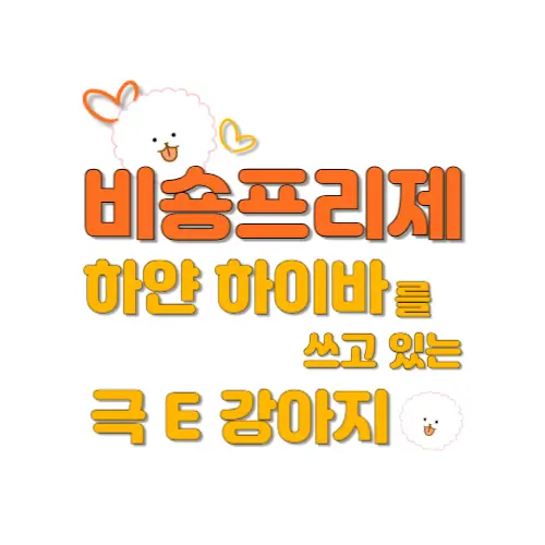 비숑프리제 썸네일