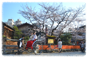 교토 (Kyoto)