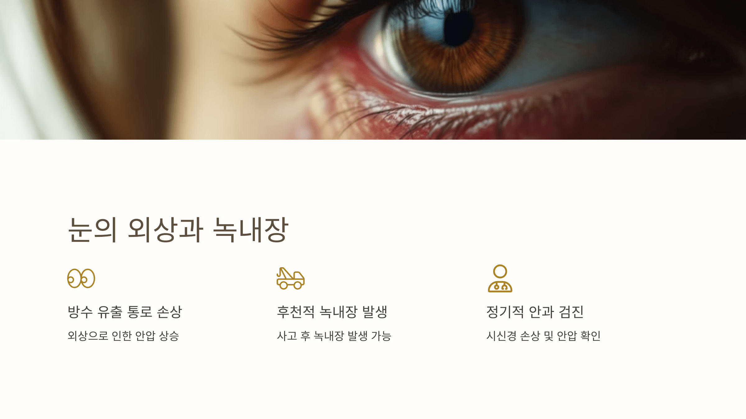 녹내장과 관련된 사진입니다.