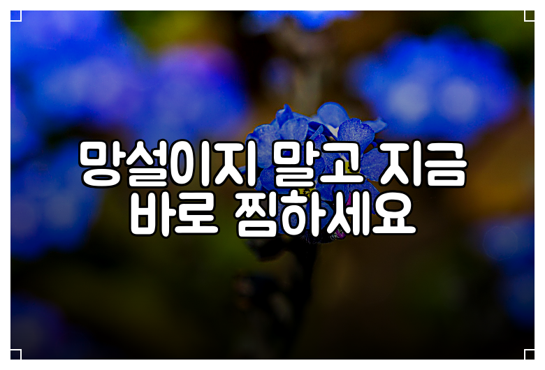 망설이지 말고 지금 바로 찜하세요