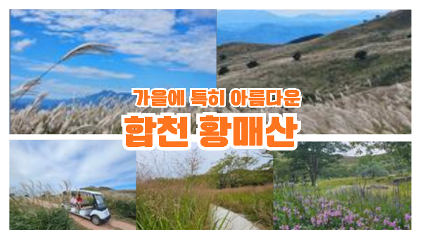 합천황매산