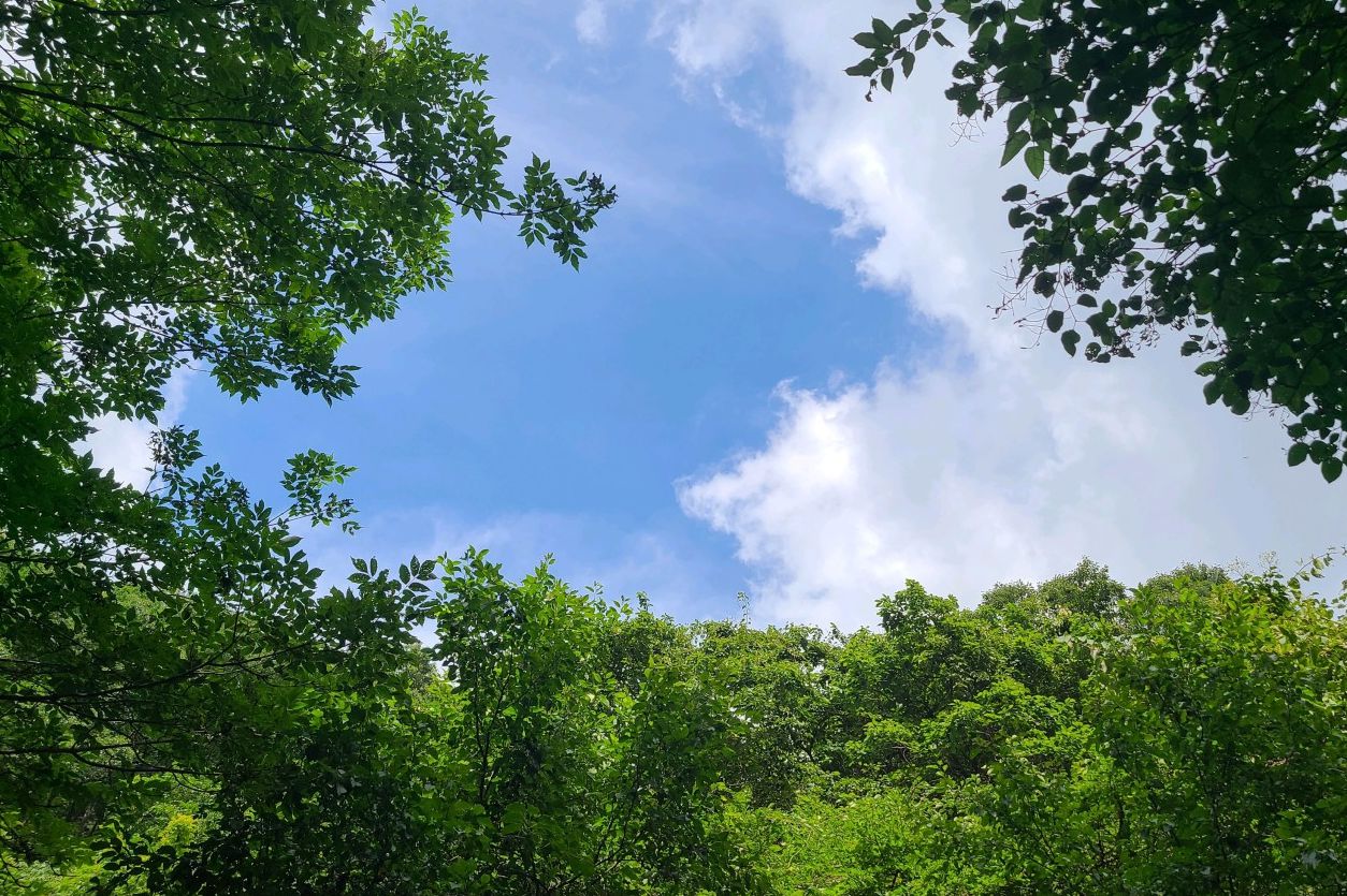 국립유명산자연휴양림