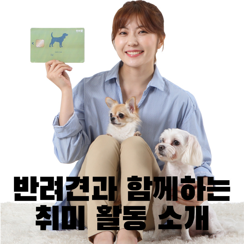 반려견과 함께하는 취미 활동 소개