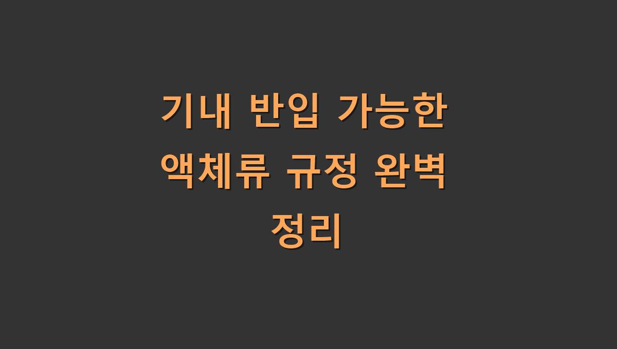 기내 반입 가능한 액체류 규정 완벽 정리