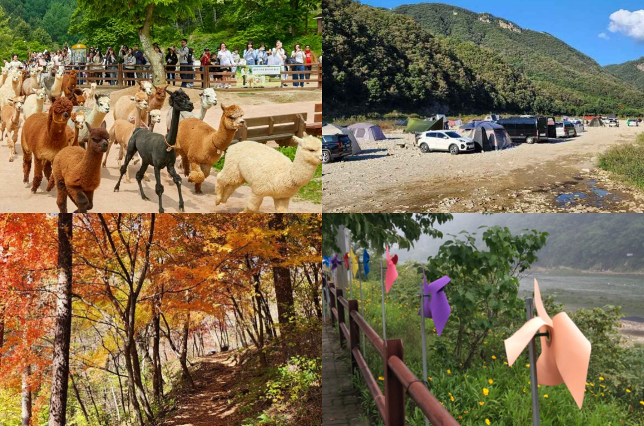 홍천 가볼만한곳