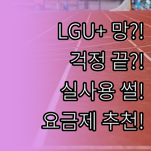 LGU+ 망 알뜰폰 속도 품질 걱정 ..