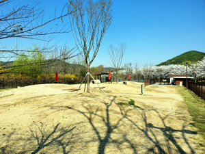 인천대공원 반려견 놀이터