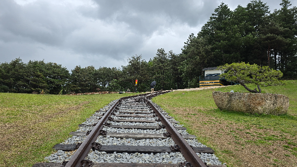 저 높은 곳을 향하여