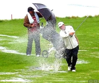 여름 고온기 관리 차광망 환기 관수 병해 예방 루틴_19