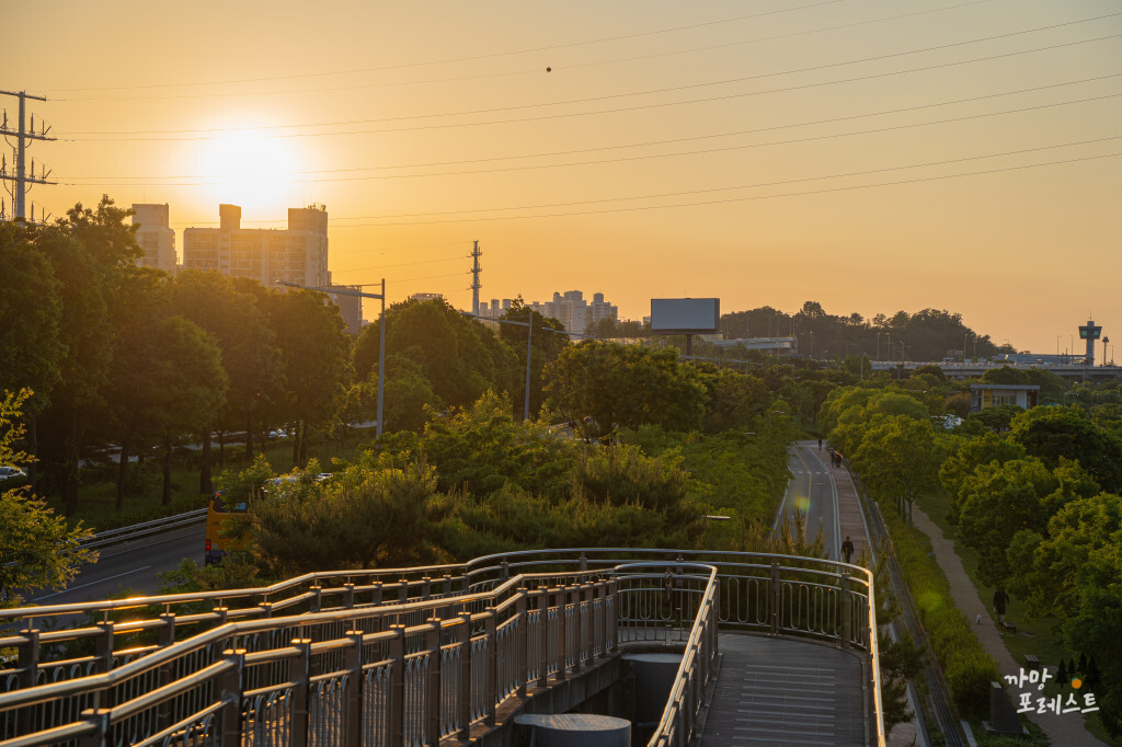 양화 한강공원 나들이