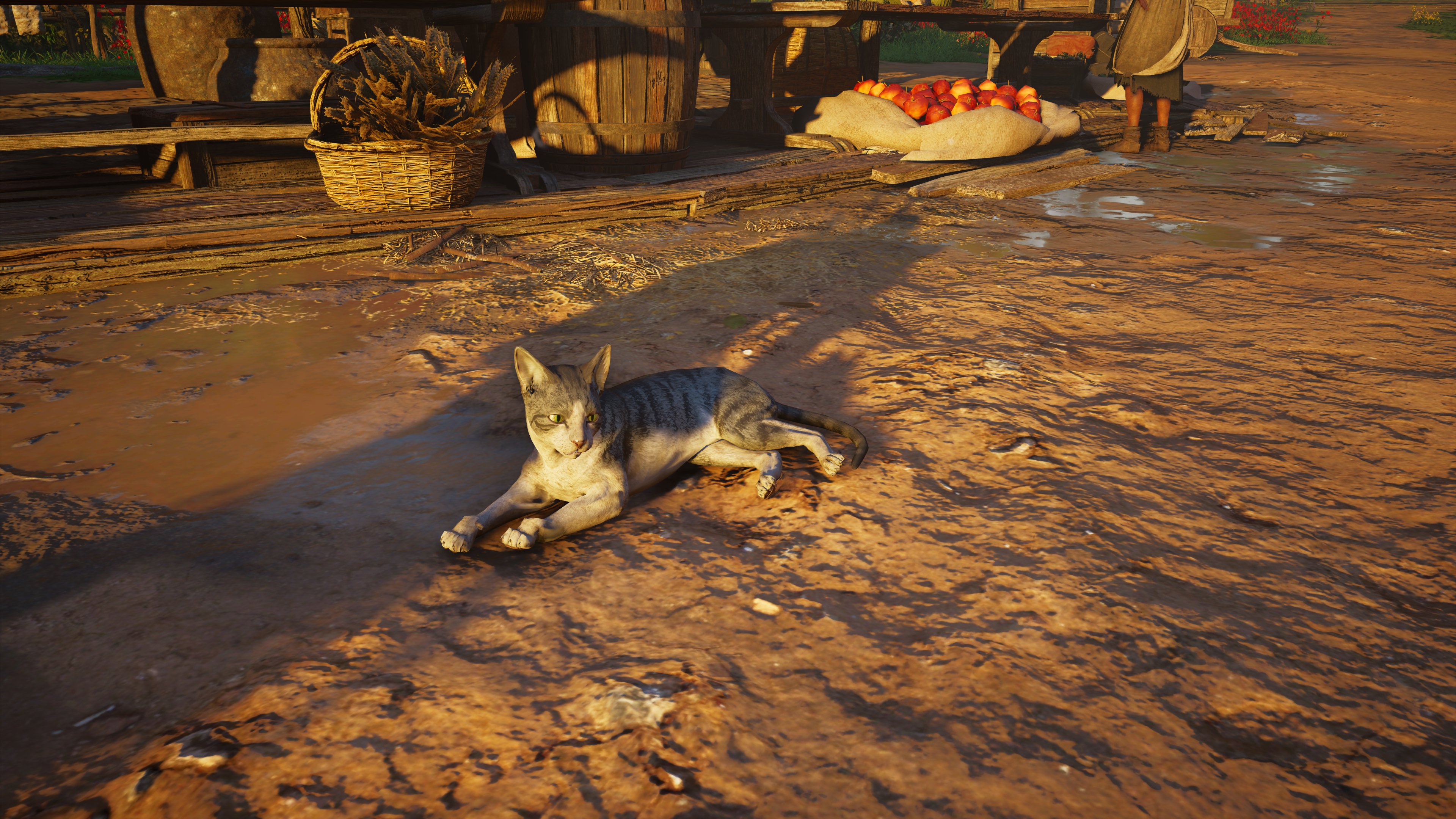 발할라 나만 고양이 없어