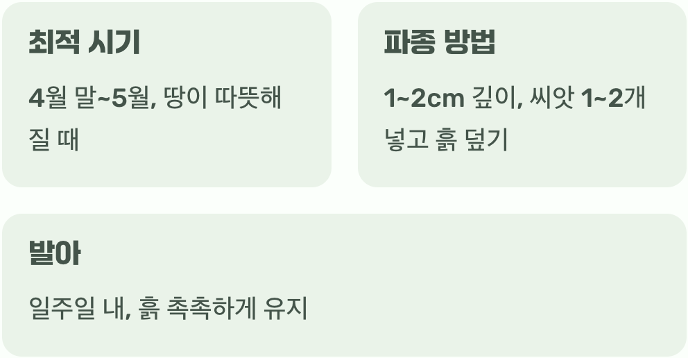 씨앗을 위한 첫 무대, 언제가 좋을까?