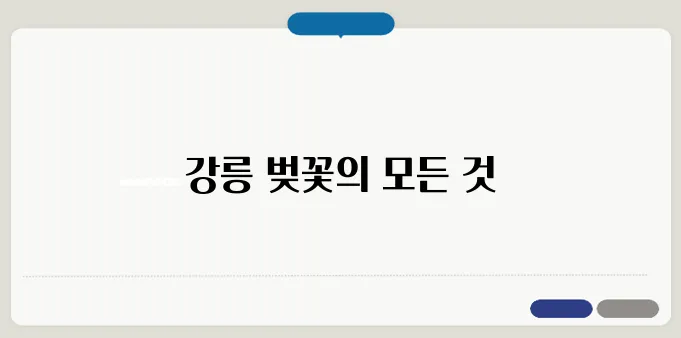 2025 강릉 벚꽃축제 일정 & 벚꽃 명소 추천