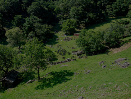 하늘마루 염소 목장 정보 안내