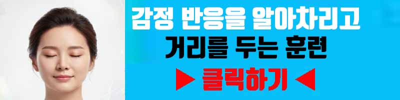 감정의 롤러코스터 멈추기: 감정 반응을 알아차리고 거리를 두는 훈련