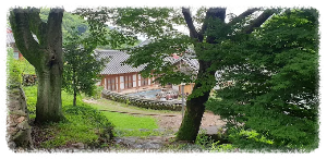 고흥금탑사 비자나무숲