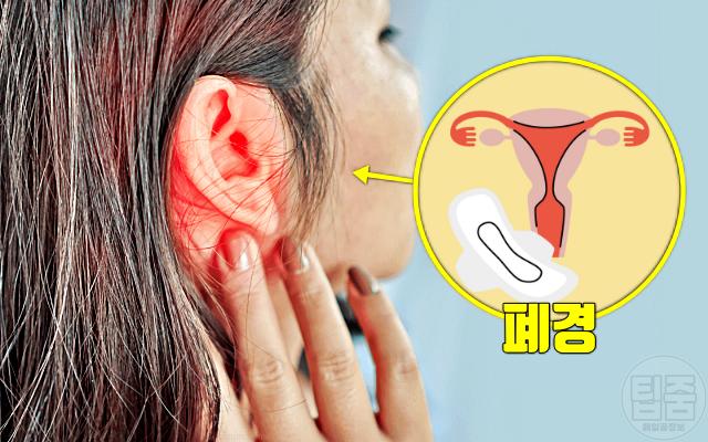 귀 건강 이명 폐경 메니에르병 경동맥질환 고혈압