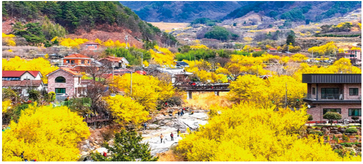 구례 산수유축제 포토존