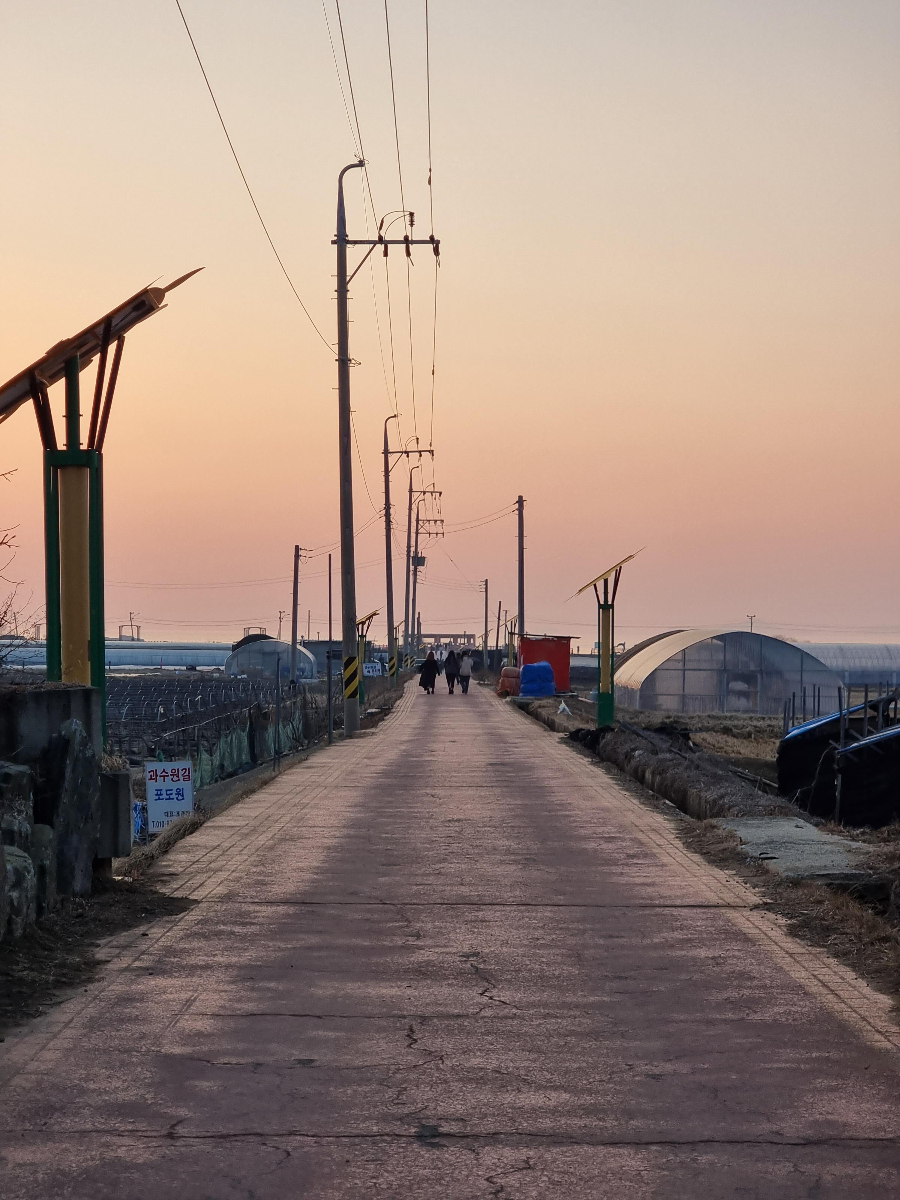 장화리-일몰조망지-가는길