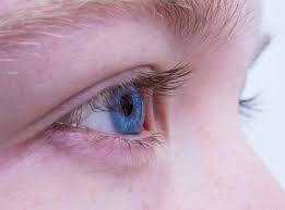 황반변성-조기진단