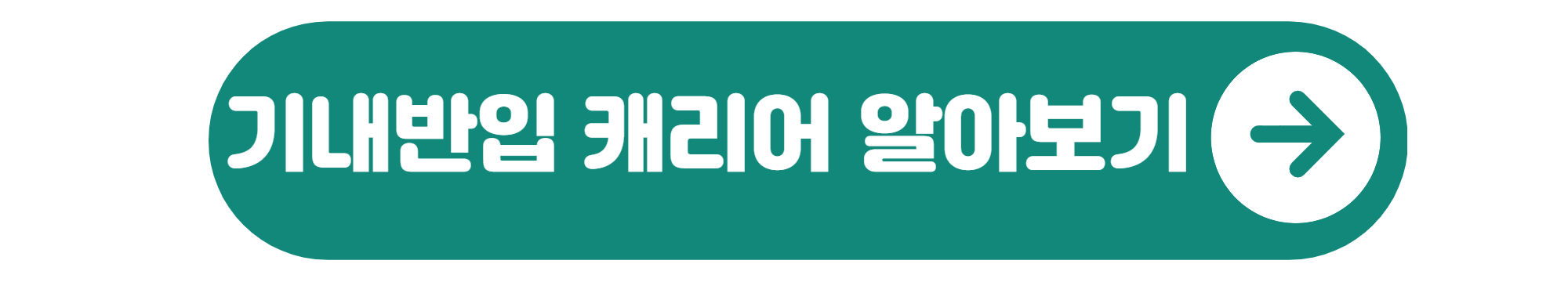 기내반입 캐리어