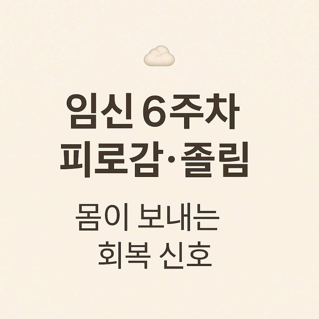 임신6주차 피로 졸림