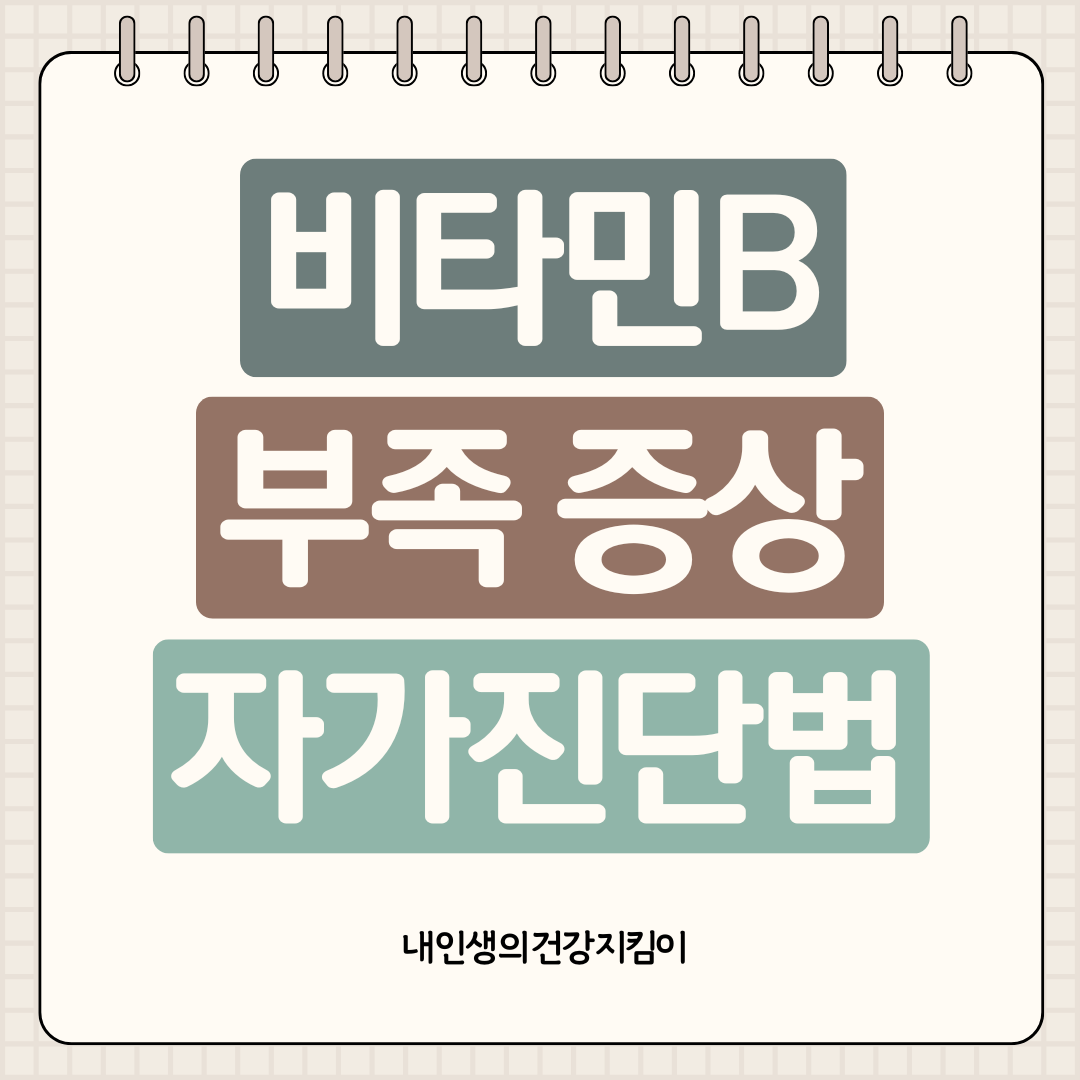 비타민B 부족 증상 자가진단법